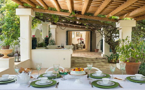 Green Villa: Møbel, Bord, Indretning, Stol, Blomsterkrukke, Loft, Køkken & Spisebord, Stueplante, Spisestue, Restaurant