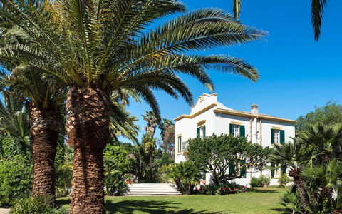 Green Villa: Blå, Træ, Vegetationen, Vedplante, Skygge, Landscaping, Tropics