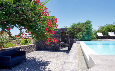 Mansion Kyani: Busk, Blomsterkrukke, Have, Flise, Skygge, Landscaping, Udvej, Stueplante, Hacienda