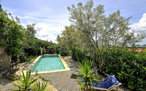Villa del Mare: Blå, Busk, Have, Landscaping, Backyard, Svømmepøl, Skygge, Gård, Water Feature, Walkway
