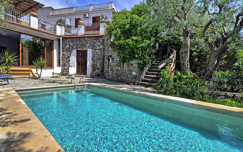 Villa del Mare: Blå, Svømmepøl, Udvej, Kompositmateriale, Estate, Eco Hotel, Hacienda, Water Feature, Villa, Backyard