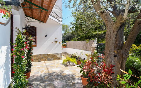 Villa del Mare: Blomst, Blomsterkrukke, Have, Flise, Stueplante, Landscaping, Gård, Backyard, Hacienda
