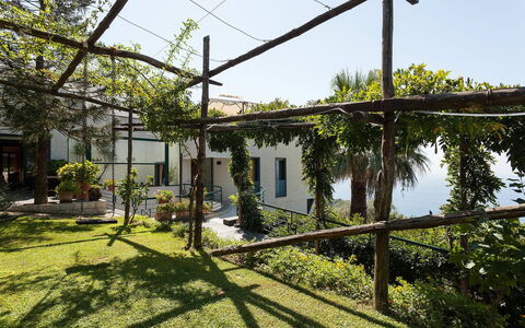 Villa Felicia: Skygge, Have, Backyard, Gård, Landscaping, Hacienda, Pergola, Udendørs Struktur, Gårdsplads, Dagslys