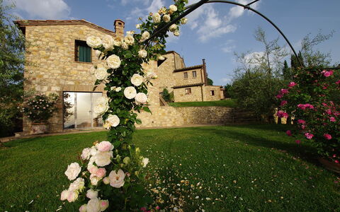 Villa Incanto: Blomst, Kronblad, Forår, Have, Haveroser, Rose Family, Blomsterhandlere, Landscaping, Rose
