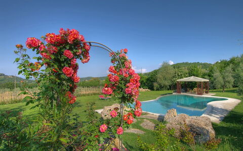Villa Incanto: Blomst, Busk, Have, Kronblad, Forår, Blomstrende Plante, Rose Family, Haveroser, Landscaping, Plantation