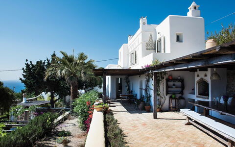 Villa Oasis: Blomsterkrukke, Altan, Stueplante, Stol, Udvej, Villa, Eco Hotel, Hacienda, Udendørs Møbler