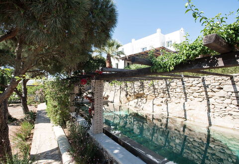 Villa Oasis: Have, Skygge, Landscaping, Backyard, Flise, Gårdsplads, Gård, Water Feature, Walkway, Svømmepøl