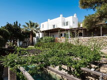 Villa Oasis