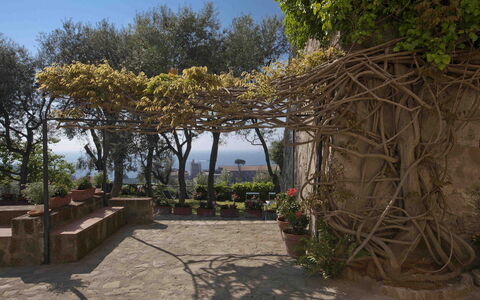 Villa Torre del Sole: Forår, Blomsterkrukke, Skygge, Have, Flise, Landscaping, Stueplante, Walkway
