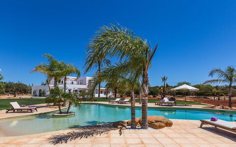 Villa Violet: Træ, Svømmepøl, Udvej, Hacienda, Landscaping, Estate, Eco Hotel, Skygge, Villa