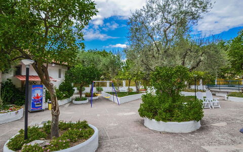 Casa Primavera: Vedplante, Skygge, Have, Landscaping, Gård, Hacienda, Indkørsel, Gårdsplads, Backyard