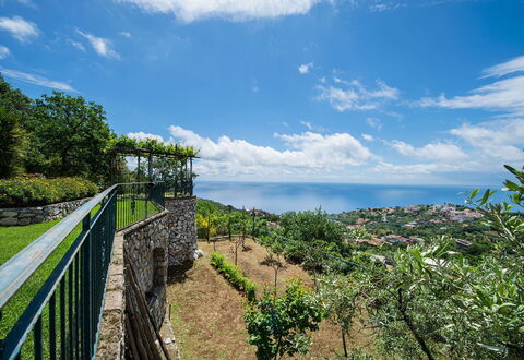 Villa Tortuga: Horisont, Landskab, Hav, Ocean, Hegn, Arkivbilleder