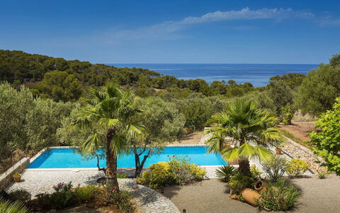 Villa Mallorca: Blå, Tropics, Kyst, Svømmepøl, Udvej, Bugt, Eco Hotel, Caribbean