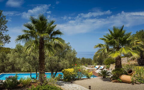 Villa Mallorca: Blå, Vegetationen, Udvej, Have, Tropics, Eco Hotel, Skygge, Landscaping, Svømmepøl