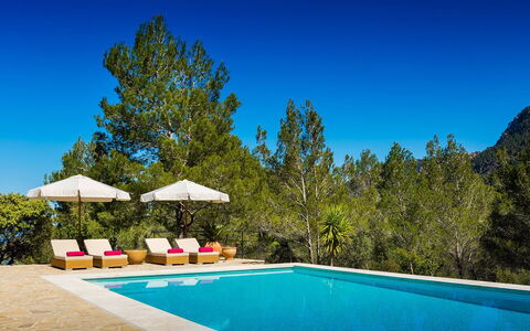Villa Carlos: Blå, Svømmepøl, Skygge, Eco Hotel, Udvej, Lærk, Pine Family, Evergreen