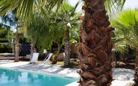 Villa Salentina: Svømmepøl, Vedplante, Udvej, Eco Hotel, Skygge, Tropics