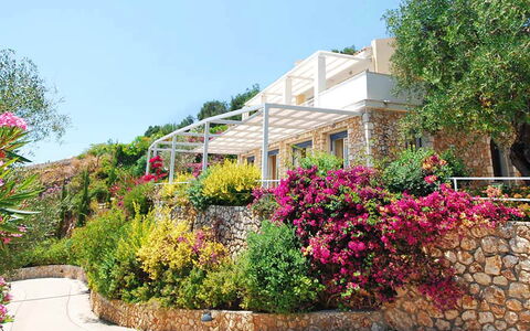 Villa Aspro: Blomst, Busk, Have, Lyserød, Forår, Landscaping, Gård, Botanisk Have, Altan, Villa