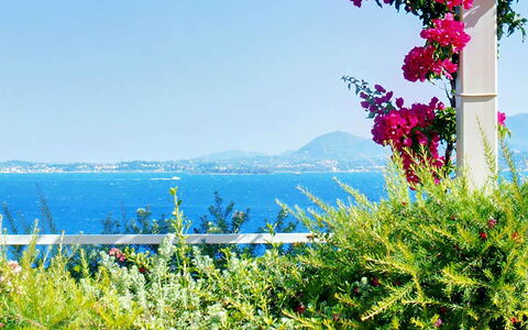 Villa Aspro: Blomst, Blå, Grøn, Vegetationen, Sommer, Hav, Coastal Og Oceaniske Landskabsformer, Ocean, Forår