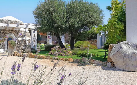Villa la Rezza: Busk, Have, Bunddække, Landscaping, Gård, Skygge, Backyard, Lawn, Design