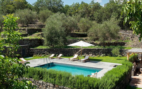 Villa Alcantara: Svømmepøl, Busk, Have, Udvej, Backyard, Landscaping, Eco Hotel, Skygge, Gård, Flise