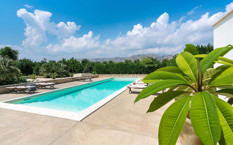 Villa Orangella: Svømmepøl, Udvej, Have, Landscaping, Skygge, Eco Hotel, Tropics, Flise, Flise