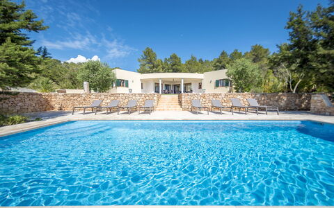 Villa Sharon: Blå, Svømmepøl, Landscaping, Estate, Udvej, Tropics, Eco Hotel, Evergreen, Ferieby, Villa