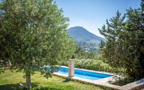 Villa Sharon: Busk, Skygge, Have, Landscaping, Evergreen, Eco Hotel