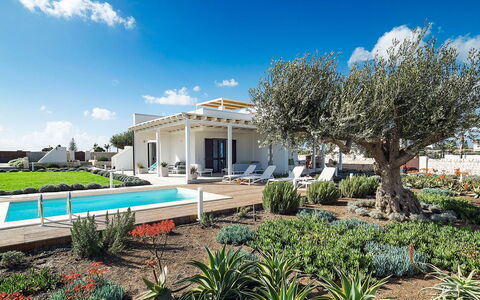 Rosemary: Hjem, Estate, Have, Landscaping, Skygge, Villa, Hacienda, Udendørs Struktur, Design, Stuehus