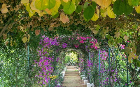 The Flower Garden: Blomst, Grøn, Busk, Have, Forår, Kronblad, Blomstrende Plante, Botanisk Have, Blomsterhandlere, Pergola