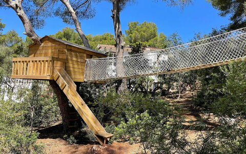 Villa Alejandra: Træ, Træ, Jungle, Ferie
