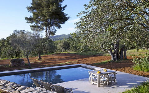 Villa Cave: Svømmepøl, Have, Skygge, Landscaping, Udendørs Møbler, Water Feature, Backyard, Liggestol, Reflekterende Pool, Udvej