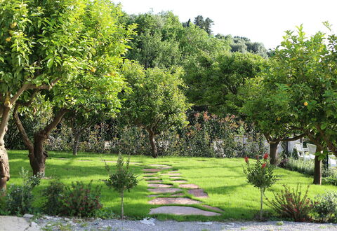 Mermaid Villa: Blad, Busk, Have, Forår, Vedplante, Lawn, Skygge, Gård, Backyard