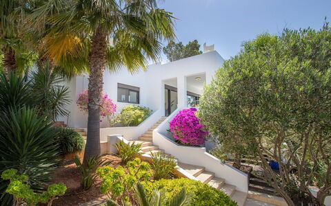 Villa Ilona: Busk, Have, Landscaping, Estate, Villa, Udvej, Hacienda, Gård, Mansion