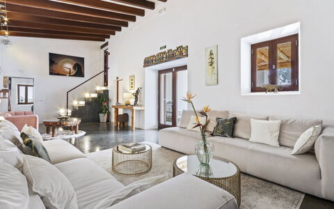 Villa Papiro: Møbel, Indretning, Væg, Gulvbelægning, Couch, Etage, Stue, Loft, Værelse, Hjem