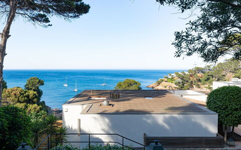Villa Bellalta: Træ, Coastal Og Oceaniske Landskabsformer, Kyst, Hav, Ocean, Estate, Tropics, Skygge, Eco Hotel