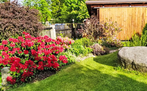 U Kohouta: Blomst, Have, Busk, Bunddække, Forår, Kronblad, Blomstrende Plante, Vedplante, Landscaping, Lawn