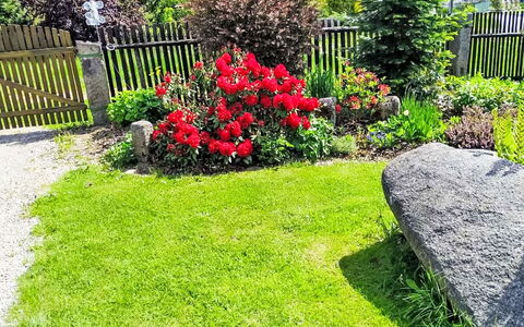 U Kohouta: Blomst, Græs, Have, Busk, Lawn, Bunddække, Backyard, Gård