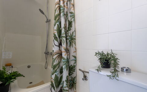 Gilet: Indretning, Sanitærarmatur, Badeværelse, Vvs, Blomsterkrukke, Toilet, Stueplante, Toiletbræt, Tap, Håndvask