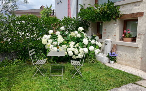 La Casetta dei Palù, Valdobbiadene: Blomst, Busk, Have, Forår, Blomstrende Plante, Backyard, Landscaping, Blomsterkrukke, Gård, Lawn
