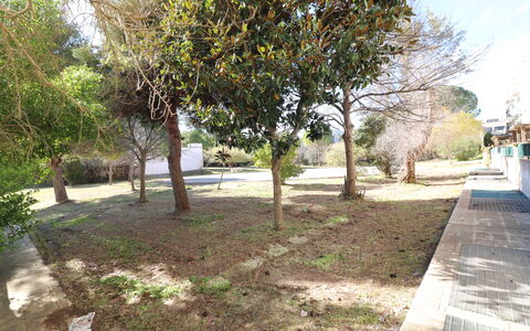 Noemi'S House in Otranto: Blad, Afdeling, Bagagerum, Vedplante, Skygge, Have, Jord, Landscaping, Gård, Walkway
