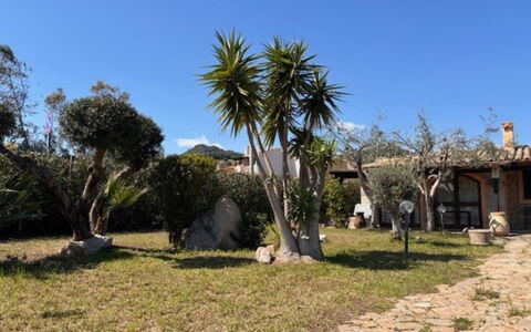 Villetta del Mirto: Busk, Have, Skygge, Vedplante, Landscaping, Hacienda, Estate, Gård