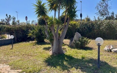 Villetta del Mirto: Busk, Have, Vedplante, Landscaping, Skygge, Gård, Walkway, Botanisk Have