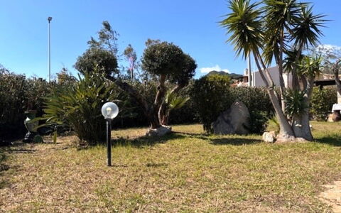 Villetta del Mirto: Blad, Busk, Have, Vedplante, Skygge, Landscaping, Lawn, Indkørsel