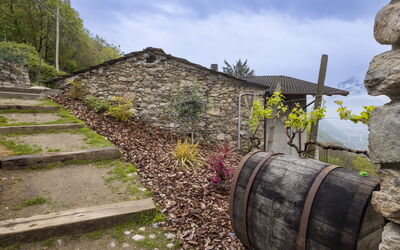 Valtellina 645