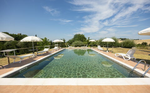 Il Giuncheto, Pool, Amazing View, Umbrian Countrys: Svømmepøl, Landscaping, Udendørs Møbler, Plantation