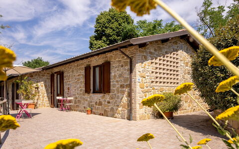 Il Giuncheto Apartments, Pool, Umbrian Countryside: Sommerhus, Hus, Dør, Hjem, Have, Stuehus, Blomsterkrukke, Estate, Gård, Backyard