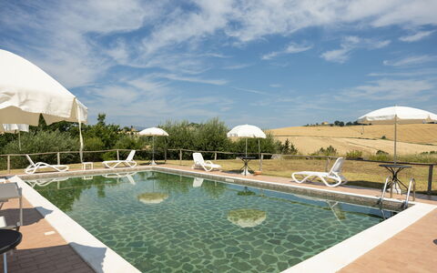 Il Giuncheto Apartments, Pool, Umbrian Countryside: Svømmepøl, Udendørs Møbler, Stol, Liggestol, Landscaping, Udvej, Villa, Paraply