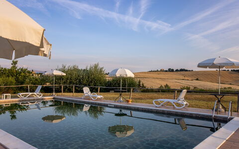 Il Giuncheto Apartments, Pool, Umbrian Countryside: Svømmepøl, Udendørs Møbler, Liggestol, Paraply