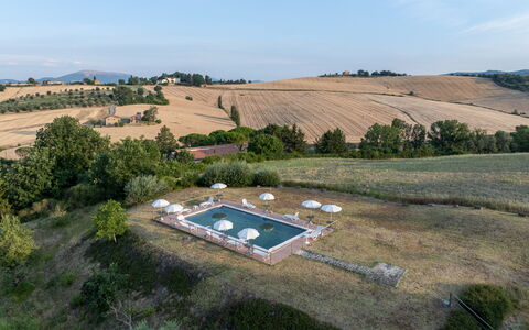 Il Giuncheto Apartments, Pool, Umbrian Countryside: Landskab, Svømmepøl, Almindeligt, Land Lot, Estate, Luftfotografering, Fugleperspektiv, Landscaping, Plantation, Mark