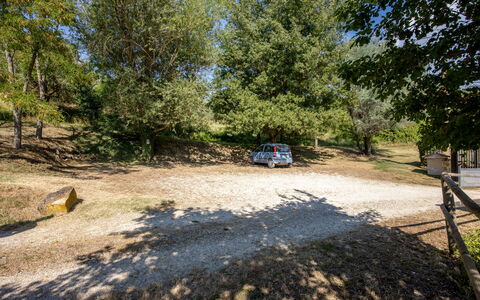 Il Giuncheto Apartments, Pool, Umbrian Countryside: Træ, Sti, Jord, Familie Bil, Parkering, Indkørsel, Skygge